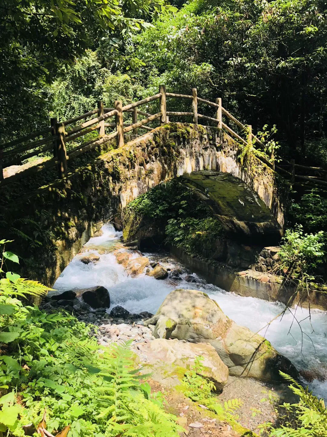 一路走好！“青年诗人”牛涛因抑郁症去世，年仅30岁！