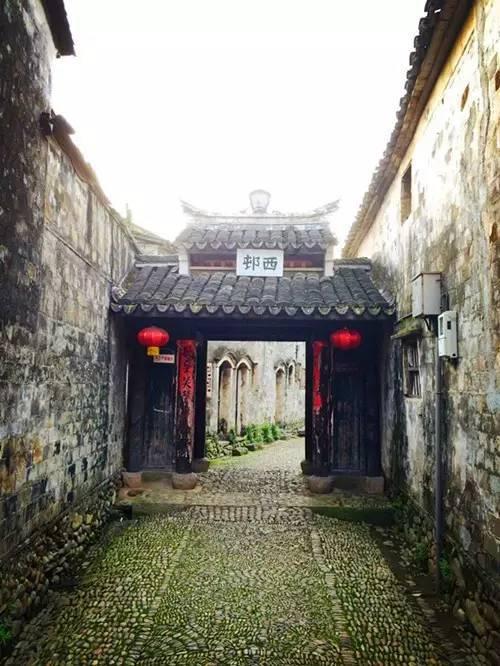 QQ企鹅