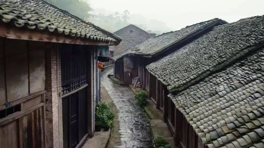 蓝色紫色